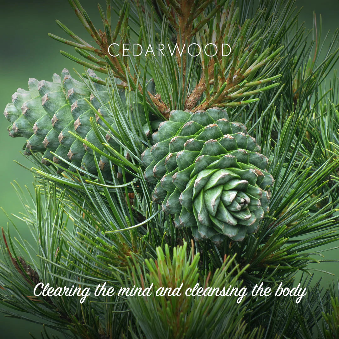 Natural Soap Bar - Cedarwood
