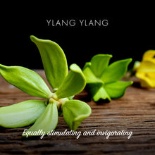 Load image into Gallery viewer, Natural Soap Bar - Ylang Ylang
