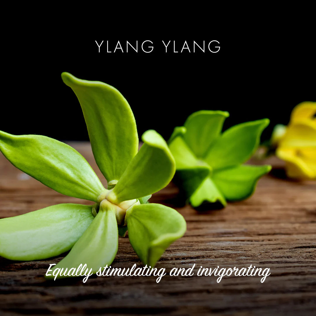 Natural Soap Bar - Ylang Ylang